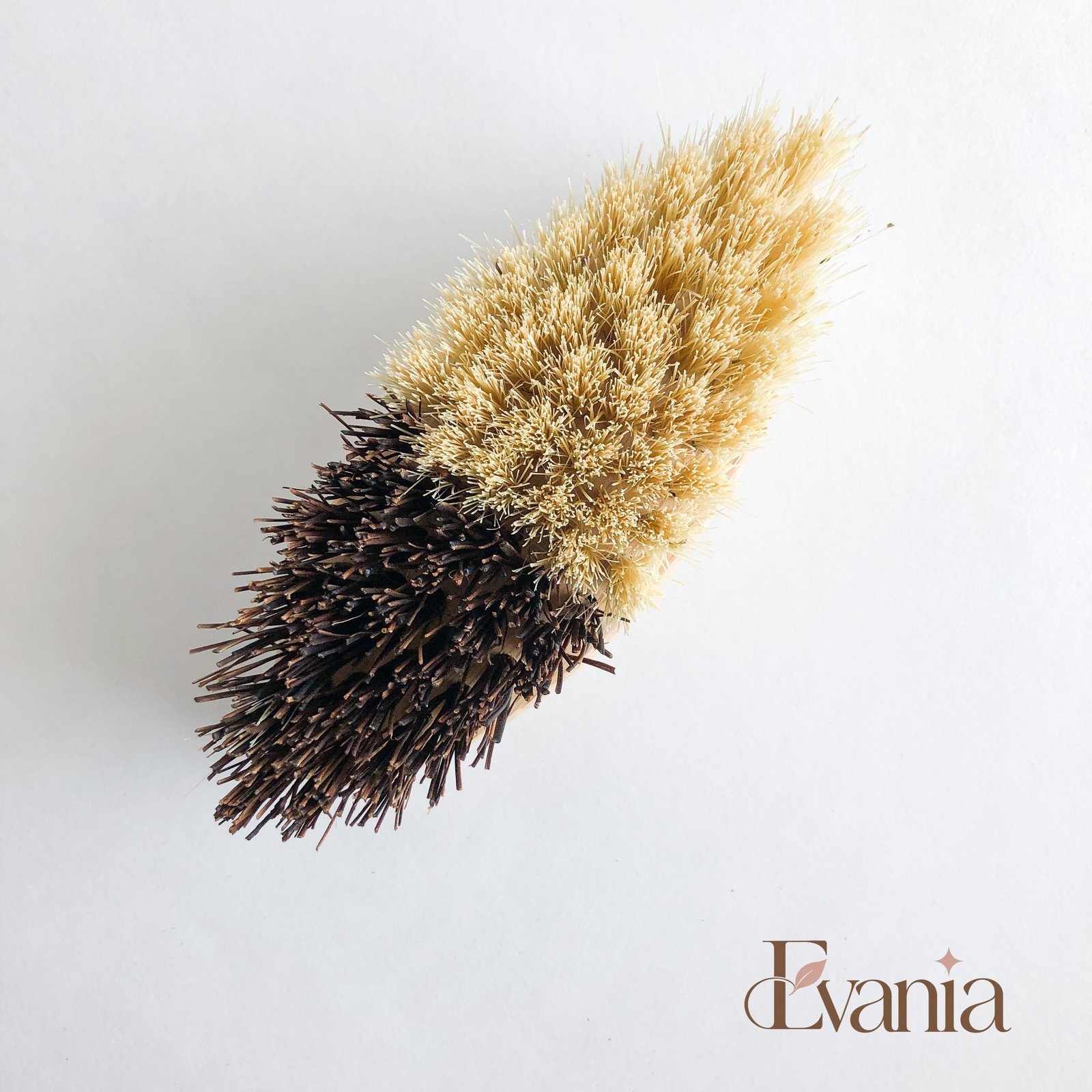 Bamboo Sisal/Palm Fiber Vegetable Brush-Zero Waste Natural Kitchen Scrubbing Brush-Sustainable Kitchen
