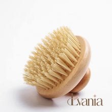 Load image into Gallery viewer, Organic Sisal Dry Body Brush - Eco friendly Natural Zero Waste Round Body Brush - Plastic Free Sustainable Exfoliate