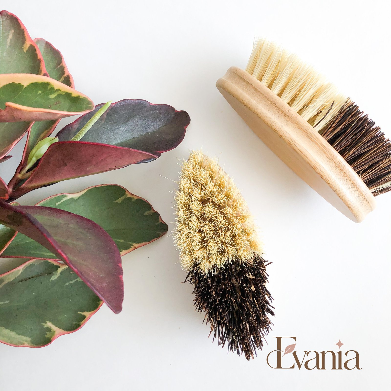 Bamboo Sisal/Palm Fiber Vegetable Brush-Zero Waste Natural Kitchen Scrubbing Brush-Sustainable Kitchen
