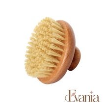 Load image into Gallery viewer, Organic Sisal Dry Body Brush - Eco friendly Natural Zero Waste Round Body Brush - Plastic Free Sustainable Exfoliate
