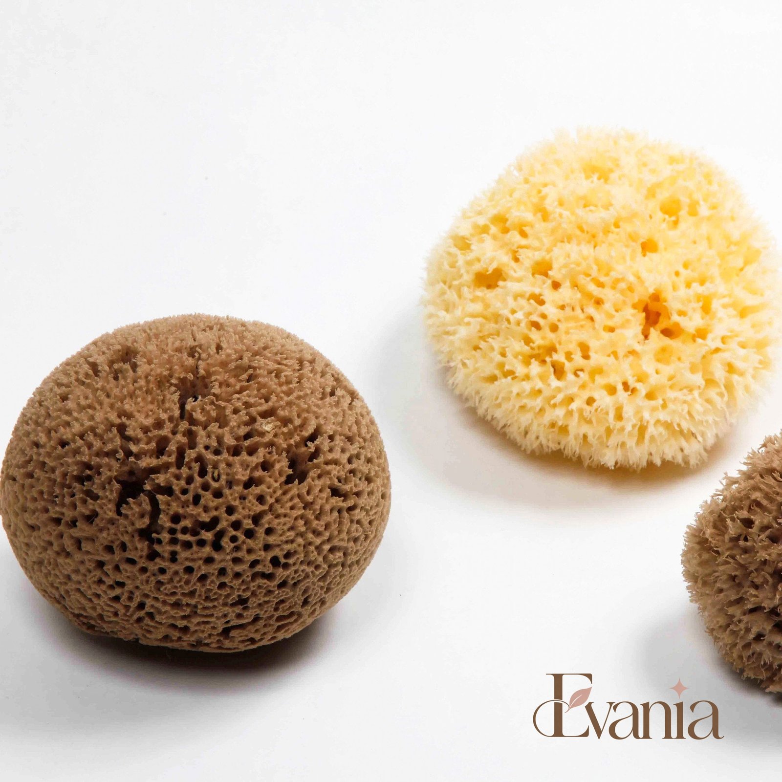 Natural Sea Sponge - Zero Waste Organic Sponge - Plastic Free Biodegradable Bath Sponge