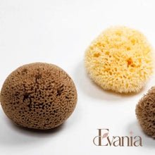 Load image into Gallery viewer, Natural Sea Sponge - Zero Waste Organic Sponge - Plastic Free Biodegradable Bath Sponge