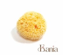Load image into Gallery viewer, Natural Sea Sponge - Zero Waste Organic Sponge - Plastic Free Biodegradable Bath Sponge