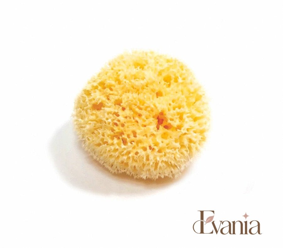 Natural Sea Sponge - Zero Waste Organic Sponge - Plastic Free Biodegradable Bath Sponge