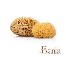 Load image into Gallery viewer, Natural Sea Sponge - Zero Waste Organic Sponge - Plastic Free Biodegradable Bath Sponge