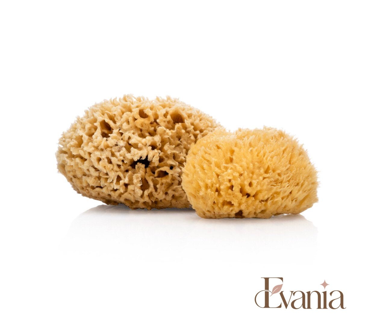 Natural Sea Sponge - Zero Waste Organic Sponge - Plastic Free Biodegradable Bath Sponge