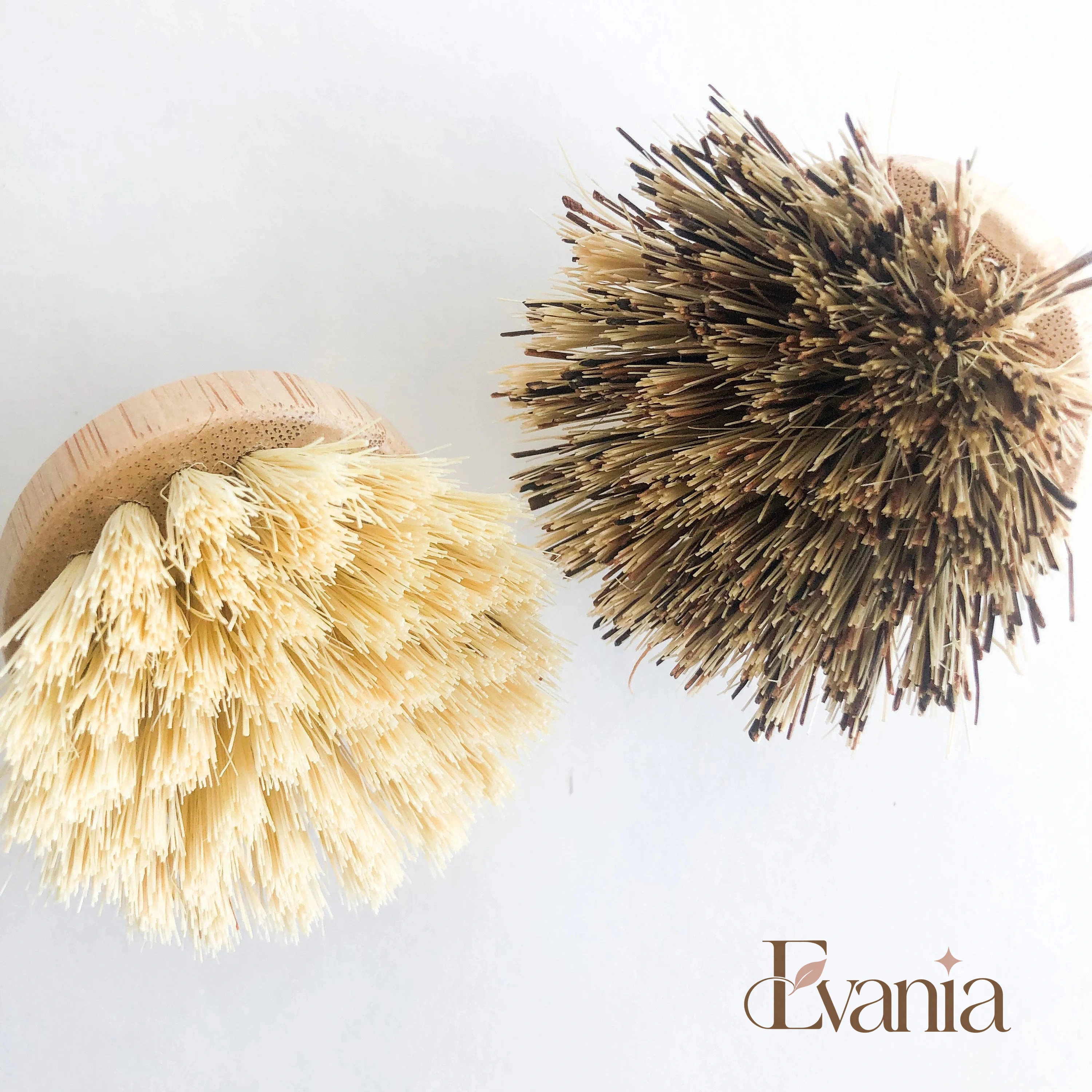 Natural Bamboo Pot & Dish Brush With Replaceable Head - Organic Biodegradable Zero Waste Multipurpose Brush - Sustainable Kitchen