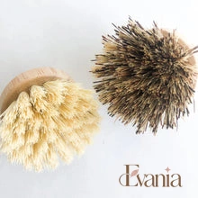 Load image into Gallery viewer, Natural Bamboo Pot & Dish Brush With Replaceable Head - Organic Biodegradable Zero Waste Multipurpose Brush - Sustainable Kitchen