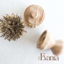 Load image into Gallery viewer, Natural Bamboo Pot & Dish Brush With Replaceable Head - Organic Biodegradable Zero Waste Multipurpose Brush - Sustainable Kitchen