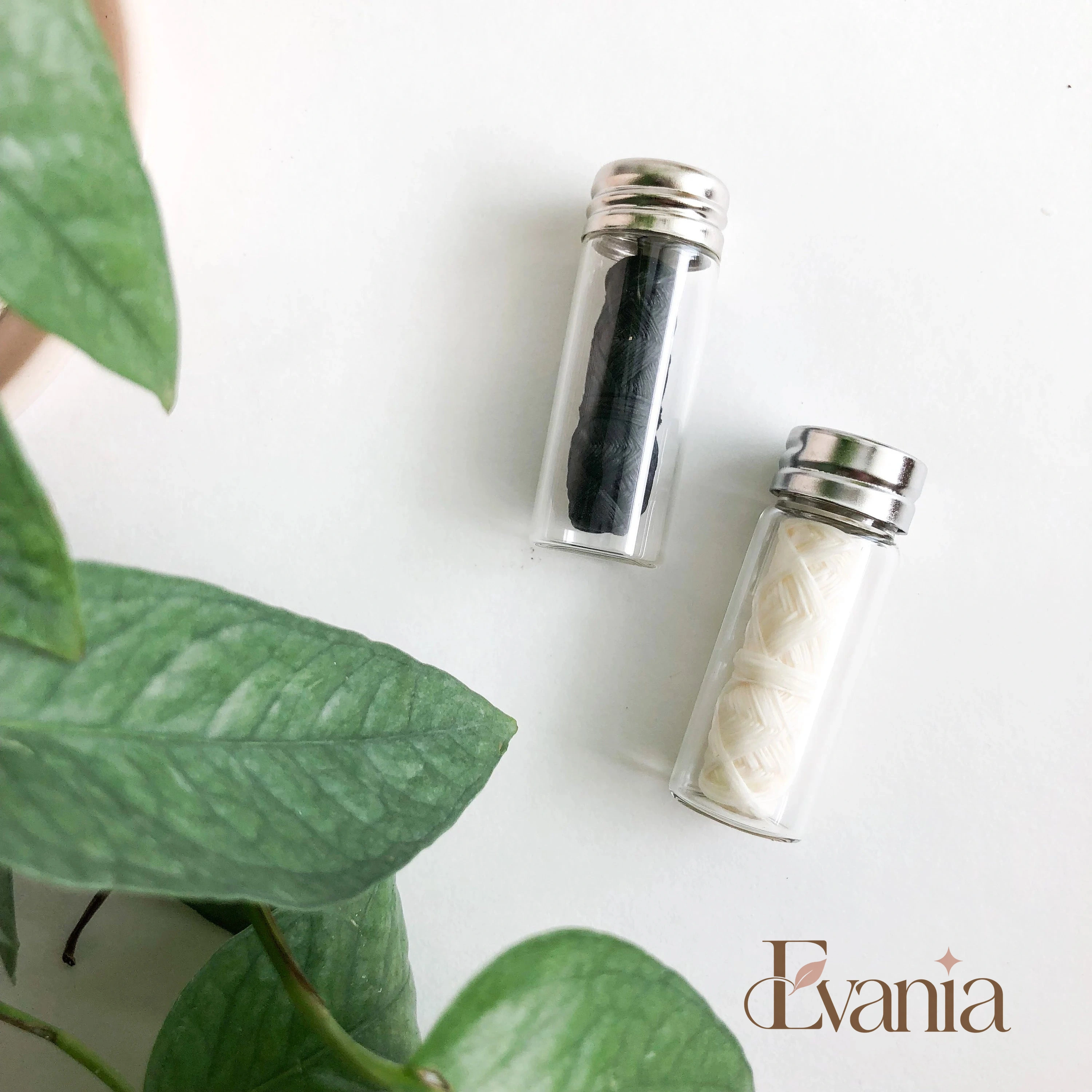 Zero Waste Biodegradable Bamboo Dental Floss