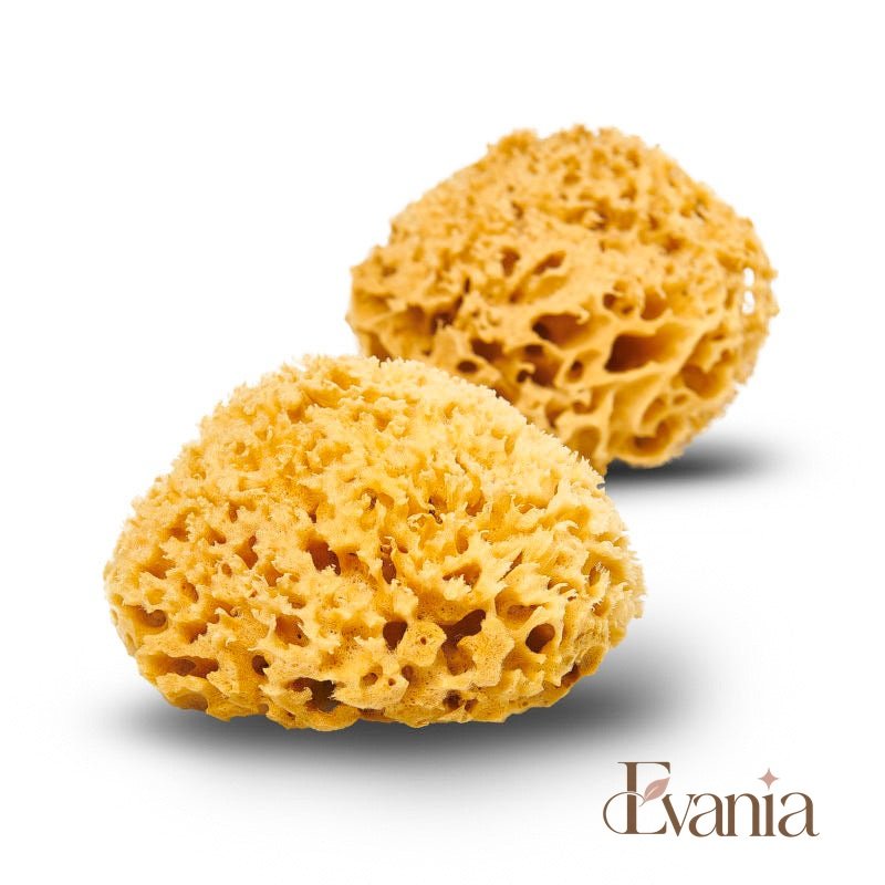 Natural Sea Sponge - Zero Waste Organic Sponge - Plastic Free Biodegradable Bath Sponge