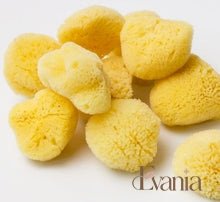 Load image into Gallery viewer, Natural Sea Sponge - Zero Waste Organic Sponge - Plastic Free Biodegradable Bath Sponge