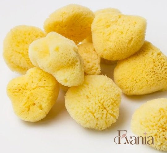 Natural Sea Sponge - Zero Waste Organic Sponge - Plastic Free Biodegradable Bath Sponge