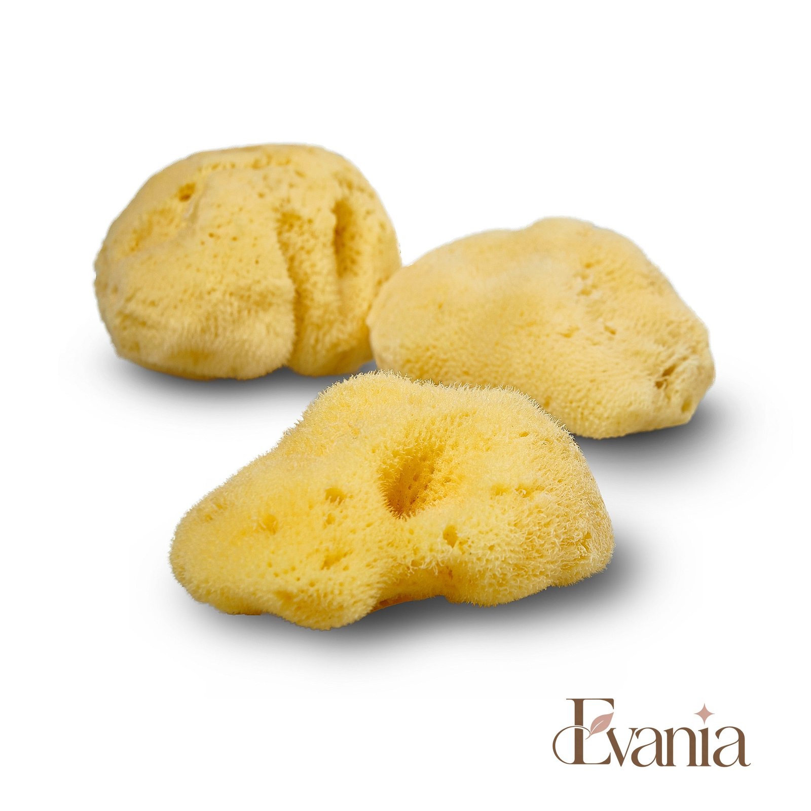 Natural Sea Sponge - Zero Waste Organic Sponge - Plastic Free Biodegradable Bath Sponge