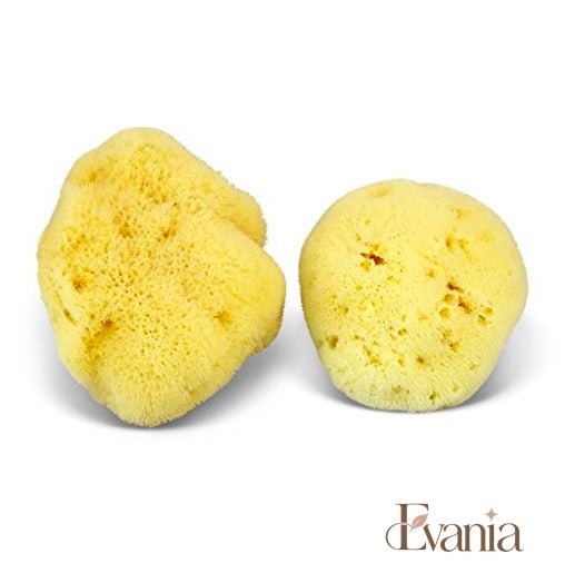 Natural Sea Sponge - Zero Waste Organic Sponge - Plastic Free Biodegradable Bath Sponge