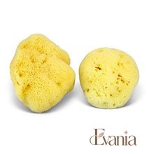 Load image into Gallery viewer, Natural Sea Sponge - Zero Waste Organic Sponge - Plastic Free Biodegradable Bath Sponge