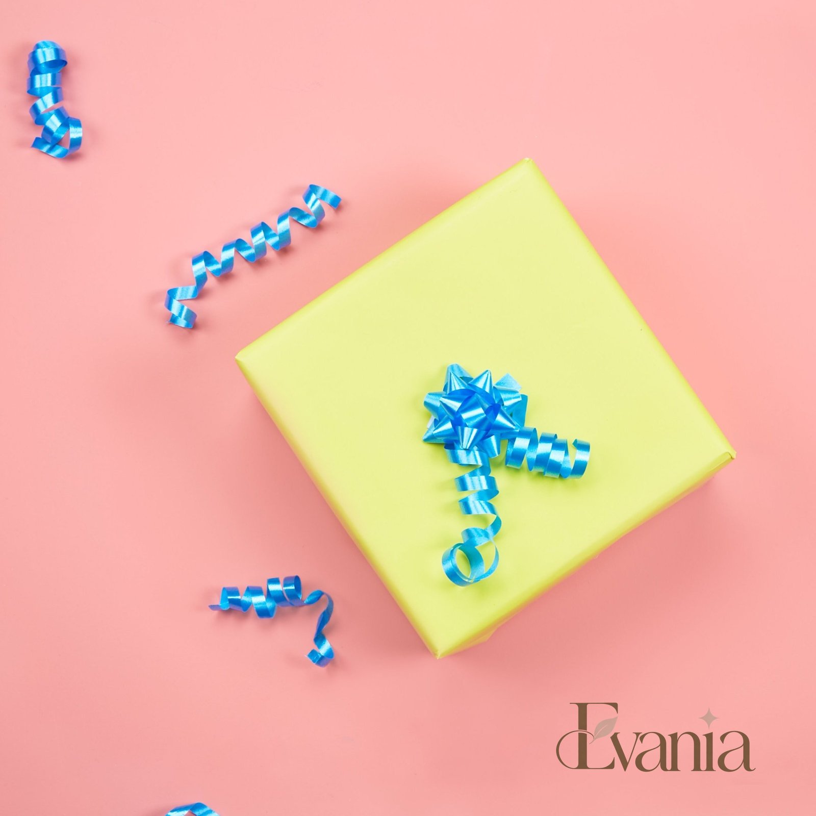 Sustainable Gift